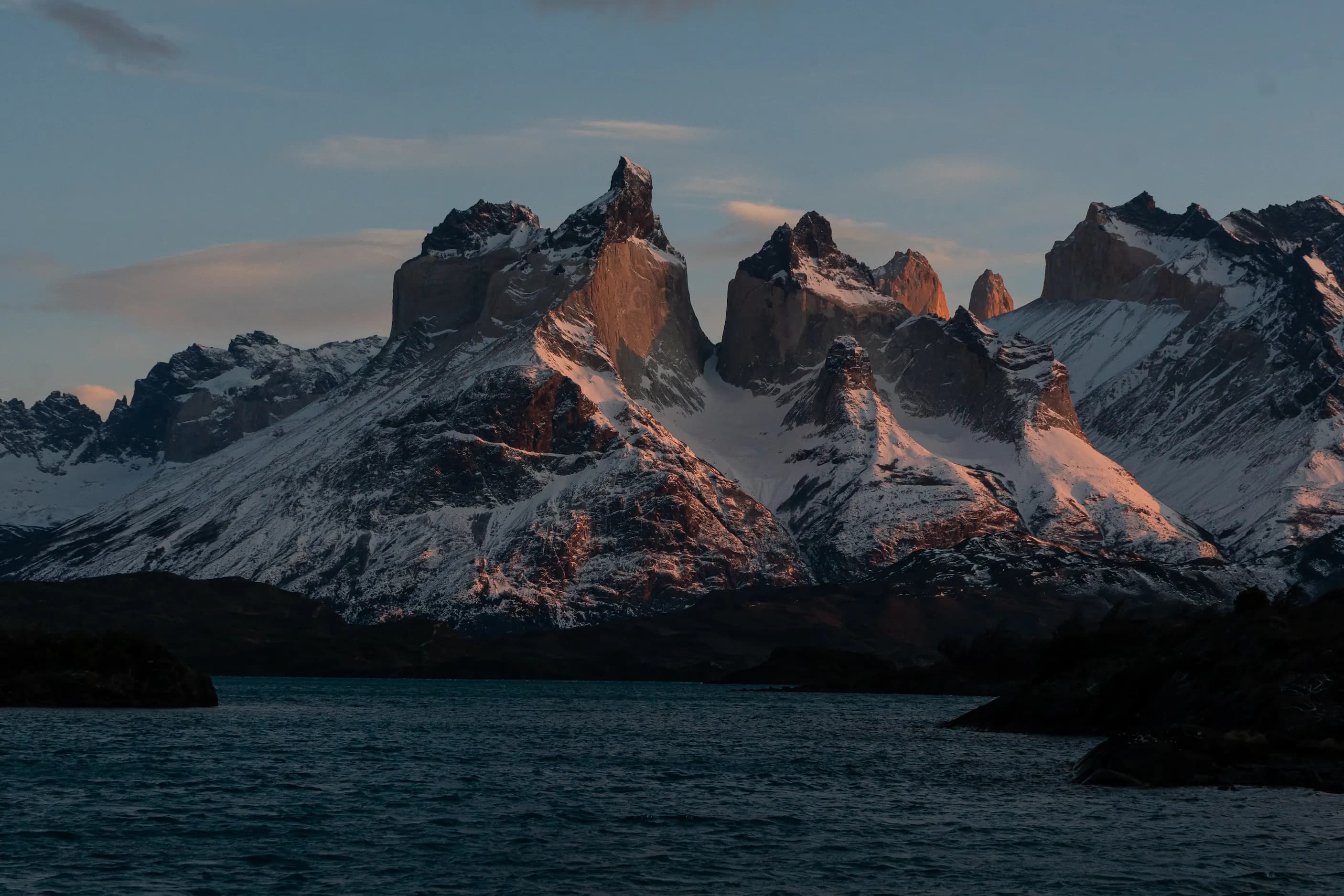 Patagonian Wildlife 4